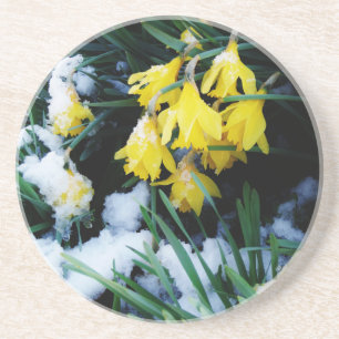 Gelbe Daffodien Blume im Schnee Untersetzer
