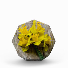 Gelbe Daffodien Foto Block