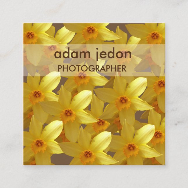Gelbe Daffodien Fotos Square Business Card Quadratische Visitenkarte (Vorderseite)