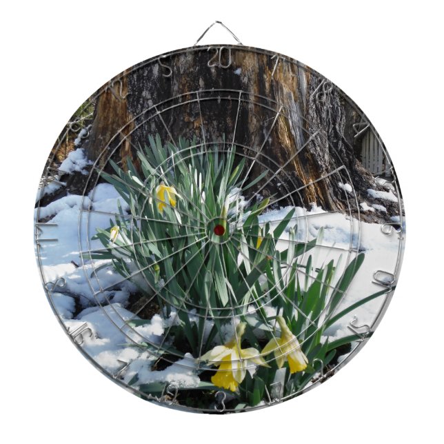 Gelbe Daffodien im Schnee Dartscheibe (vorne)