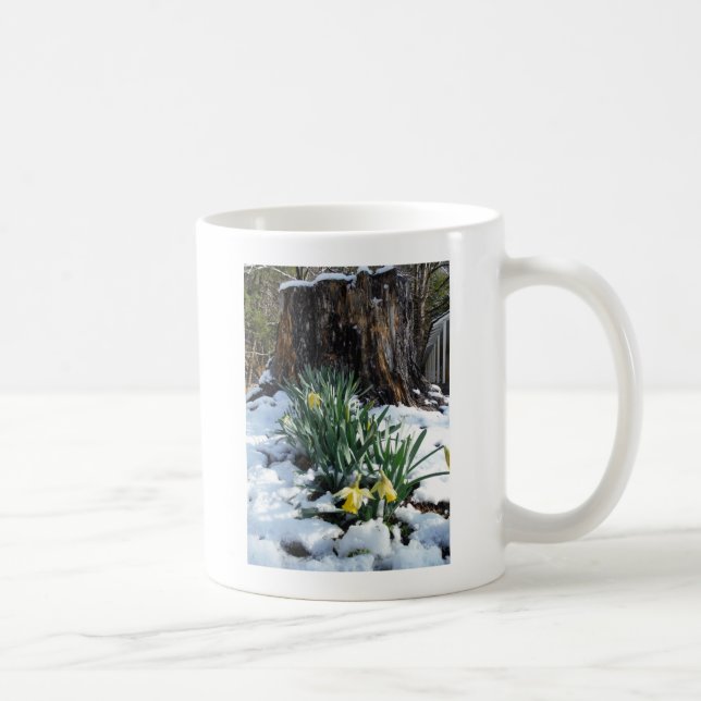 Gelbe Daffodien im Schnee Kaffeetasse (Rechts)