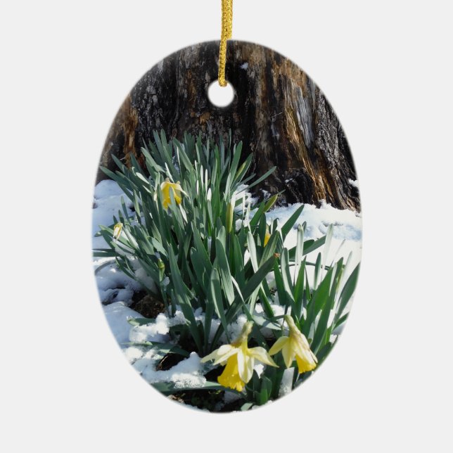 Gelbe Daffodien im Schnee Keramik Ornament (Vorne)