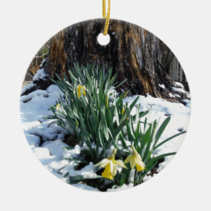Gelbe Daffodien im Schnee Keramikornament