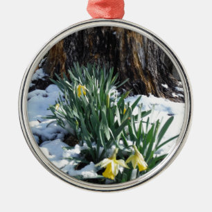 Gelbe Daffodien im Schnee Silbernes Ornament