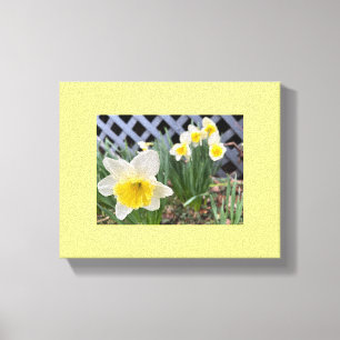 Gelbe Daffodien Leinwanddruck