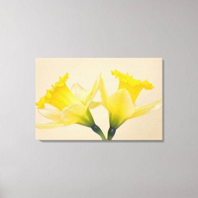 Gelbe Daffodien Leinwanddruck (Vorderseite)