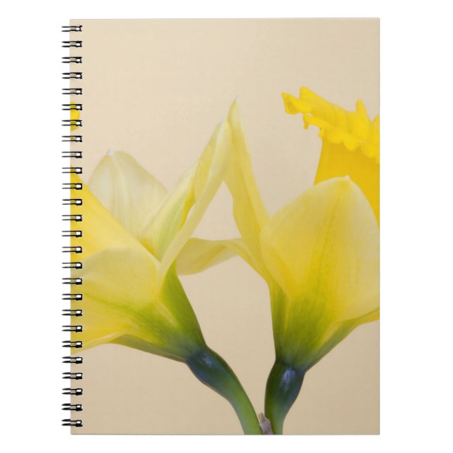 Gelbe Daffodien Notizblock (Vorderseite)