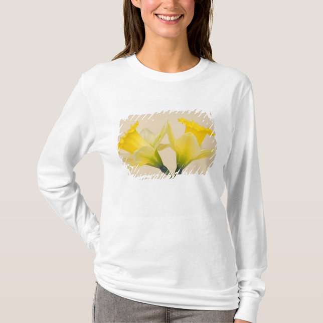 Gelbe Daffodien T-Shirt (Vorderseite)