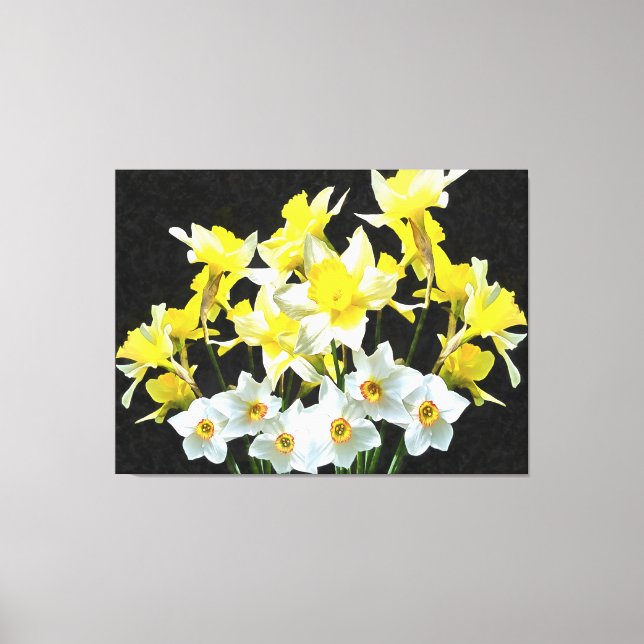 Gelbe Daffodien und weiße Narcissi auf Grau Leinwanddruck (Vorderseite)