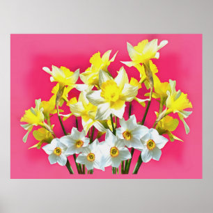 Gelbe Daffodien und weiße Narcissi Viva Magenta Poster
