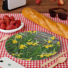 Gelbe Daffodin Blüten Pappteller
