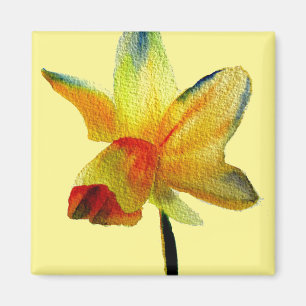 Gelbe Daffodische Aquarellkunst Blume Magnet