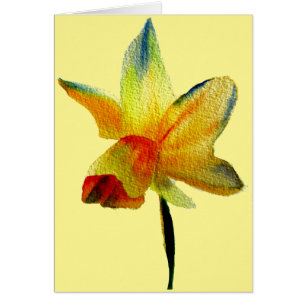 Gelbe Daffodische Aquarellkunst Frühlingskunst Blu