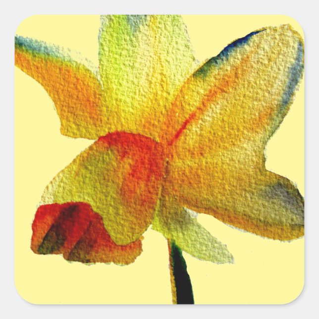 Gelbe Daffodische Aquarellkunst Frühlingskunst Blu Quadratischer Aufkleber