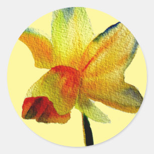 Gelbe Daffodische Aquarellkunst Frühlingskunst Blu Runder Aufkleber