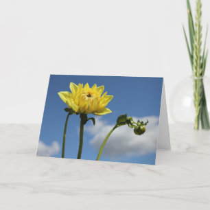 Gelbe Dahlie-Blume in der Sonne Karte