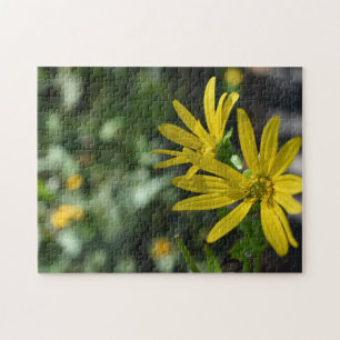 Gelbe Daisy-Blume Blumennatur Fotografie Puzzle