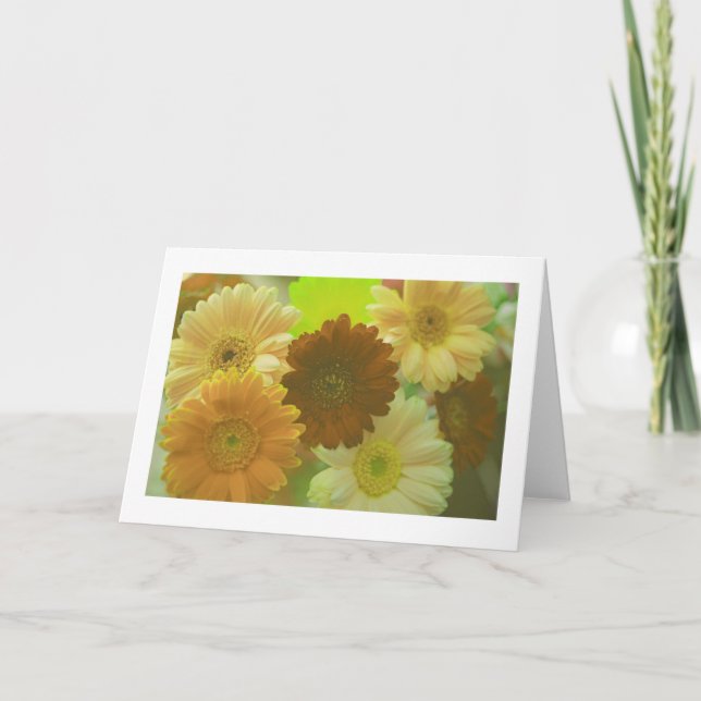 Gelbe Daisy-Blume Foto Hinweis oder Grußkarten Karte (Vorderseite)