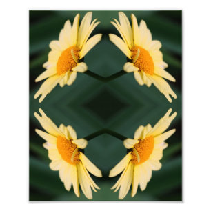 Gelbe Daisy-Blume Nah Up Mirror Abstrakt 8x10 Fotodruck