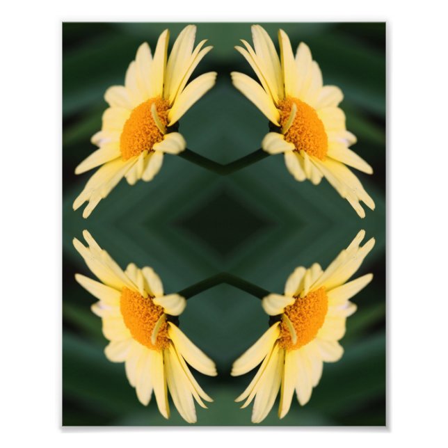 Gelbe Daisy-Blume Nah Up Mirror Abstrakt 8x10 Fotodruck (Vorne)