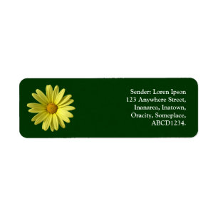 Gelbe Daisy - Dunkelgrün