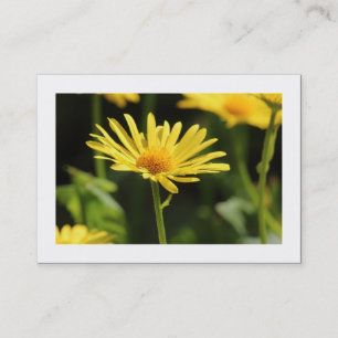 Gelbe Daisy (grenzt) Visitenkarte