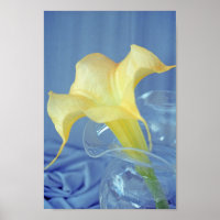 Gelbe Datura Blume Wand Kunstdruckplakat