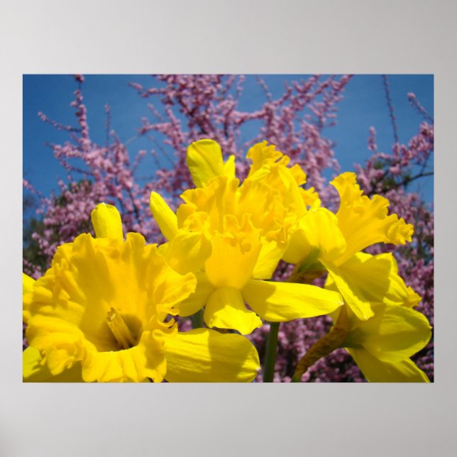 Gelbe düstere Blume Kunstdrucke Natureflora Poster (Vorne)