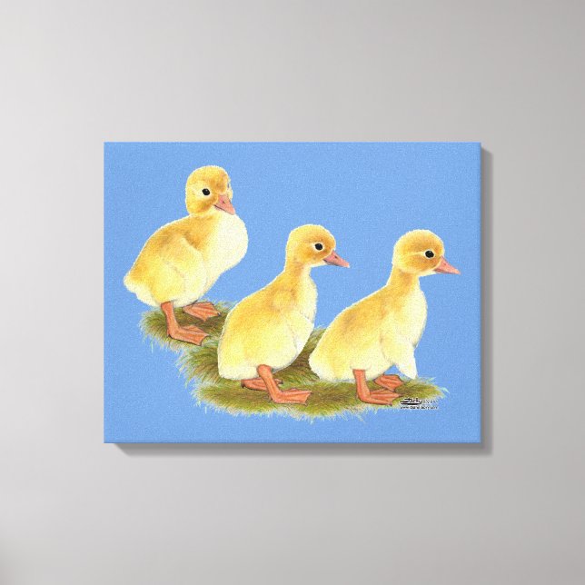 Gelbe Encklings Leinwanddruck (Vorderseite)