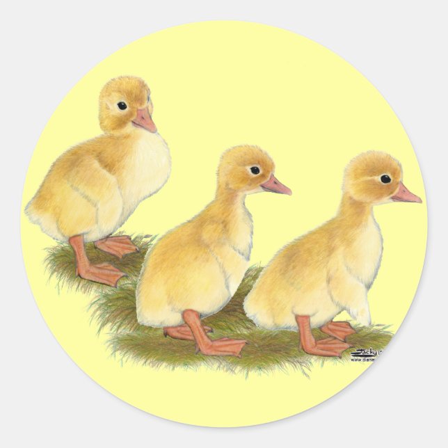 Gelbe Encklings Runder Aufkleber (Vorderseite)