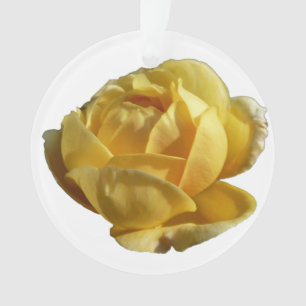 Gelbe Englische Rose Ornament