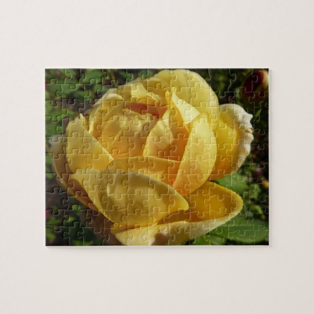 Gelbe Englische Rose Puzzle (Horizontal)