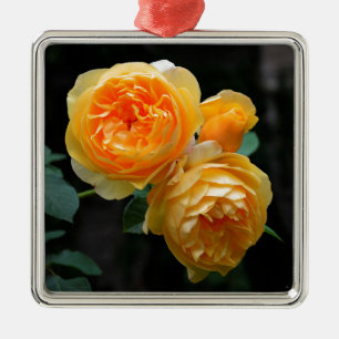 Gelbe Englische Rose Silbernes Ornament