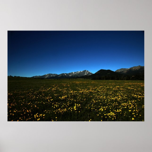 Gelbe Felder Poster (Vorne)