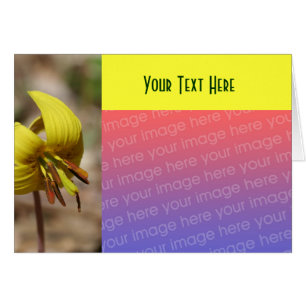Gelbe Forelle Liege Blume Fotokarte