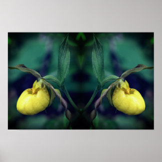 Gelbe Frauenschuh-Orchideen-Blume Natur Kunst Poster