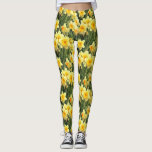 Gelbe Frühlings-Narzissen Leggings<br><div class="desc">Diese Chic-Leggings kennzeichnen ein reizendes Foto der gelben Frühlingsnarzissen in der vollen Blüte.  Perfekter Zusatz zu Ihrer Frühlingsgarderobe! Entworfen durch weltberühmtes Künstler ©Tim Coffey.</div>