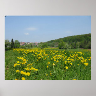 Gelbe Frühlingsblumen auf einer grünen Wiese Poster