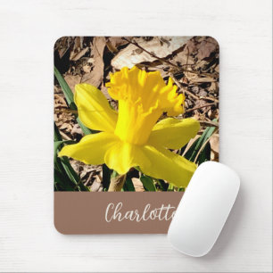 Gelbe Frühlingsdaffodil im Garden-Individuelle Nam Mousepad