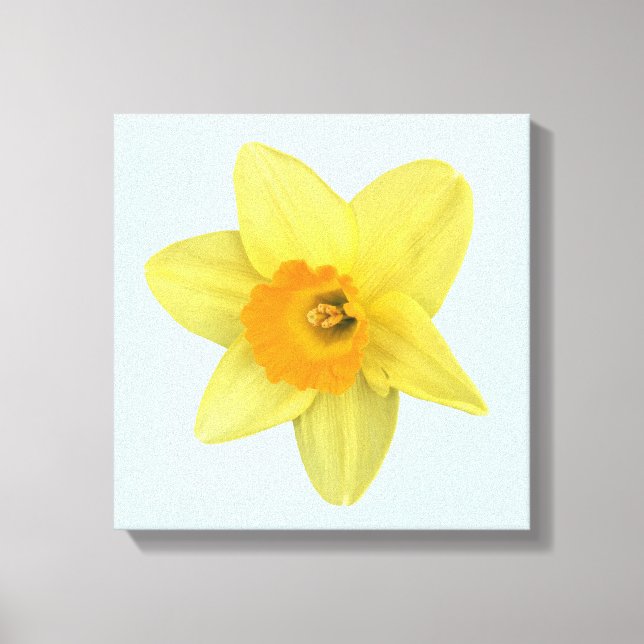 Gelbe Frühlingsdrossel Leinwanddruck (Vorderseite)