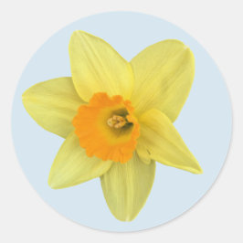 Gelbe Frühlingsdrossel Runder Aufkleber