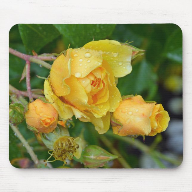 Gelbe Frühlingsstifte Rose drucken Mousepad (Vorne)
