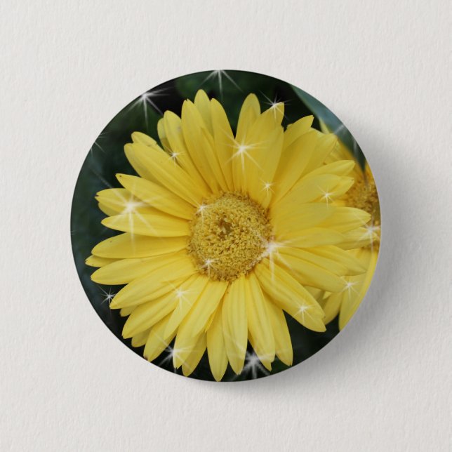 Gelbe Gänseblümchen-Blume mit Sternen Button (Vorderseite)