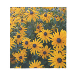 Gelbe Gänseblümchen-Gartenblumen. Notizblock