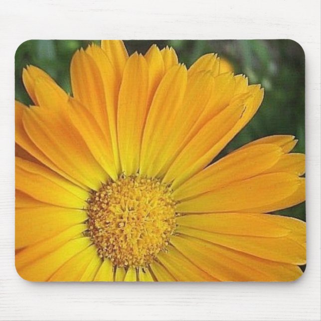Gelbe Gänseblümchen-Mausunterlage Mousepad (Vorne)