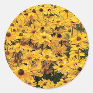 Gelbe Gänseblümchen-Umschlag Aufkleber-Aufkleber Runder Aufkleber