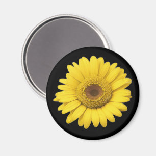 Gelbe Gänseblümchenblüten Magnet