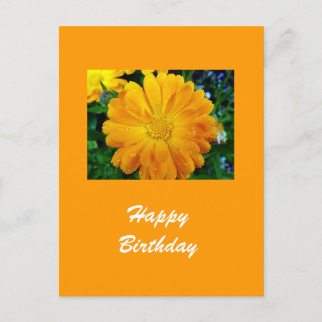 Gelbe Gänsehaut-Blume Postkarte (Vorderseite)