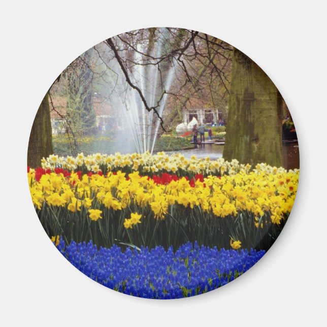 Gelbe Gärten Keukenhof, Amsterdam, Niederlande Magnet (Vorne)