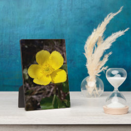 Gelbe Gartenanlage Blume Fotoplatte